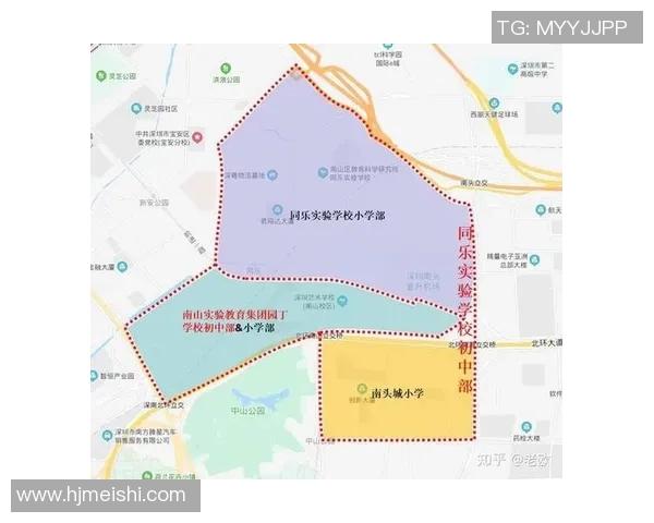 深圳篮球队总决赛技术分析与表现评估全面解读